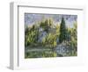 Washington State, North Cascades, Alpine Pond with Larch and Fir trees-Jamie & Judy Wild-Framed Photographic Print