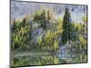 Washington State, North Cascades, Alpine Pond with Larch and Fir trees-Jamie & Judy Wild-Mounted Photographic Print