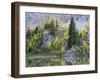 Washington State, North Cascades, Alpine Pond with Larch and Fir trees-Jamie & Judy Wild-Framed Photographic Print