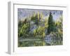 Washington State, North Cascades, Alpine Pond with Larch and Fir trees-Jamie & Judy Wild-Framed Photographic Print