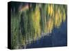 Washington State, North Cascades, Blue Lake, Larch tree reflections-Jamie & Judy Wild-Stretched Canvas