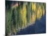 Washington State, North Cascades, Blue Lake, Larch tree reflections-Jamie & Judy Wild-Mounted Photographic Print