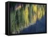 Washington State, North Cascades, Blue Lake, Larch tree reflections-Jamie & Judy Wild-Framed Stretched Canvas