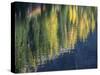 Washington State, North Cascades, Blue Lake, Larch tree reflections-Jamie & Judy Wild-Stretched Canvas