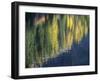 Washington State, North Cascades, Blue Lake, Larch tree reflections-Jamie & Judy Wild-Framed Photographic Print