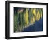 Washington State, North Cascades, Blue Lake, Larch tree reflections-Jamie & Judy Wild-Framed Photographic Print