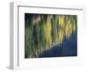 Washington State, North Cascades, Blue Lake, Larch tree reflections-Jamie & Judy Wild-Framed Photographic Print