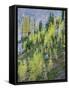 Washington State, North Cascades, Larch and Fir Trees-Jamie & Judy Wild-Framed Stretched Canvas