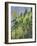 Washington State, North Cascades, Larch and Fir Trees-Jamie & Judy Wild-Framed Photographic Print
