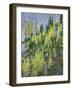 Washington State, North Cascades, Larch and Fir Trees-Jamie & Judy Wild-Framed Photographic Print