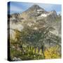 Washington State, North Cascades, Lewis Lake and Black Peak, view from Heather Pass-Jamie & Judy Wild-Stretched Canvas