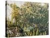 Washington State, North Cascades, Lewis Lake, view from Heather Pass-Jamie & Judy Wild-Stretched Canvas