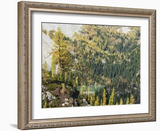 Washington State, North Cascades, Lewis Lake, view from Heather Pass-Jamie & Judy Wild-Framed Photographic Print