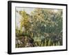 Washington State, North Cascades, Lewis Lake, view from Heather Pass-Jamie & Judy Wild-Framed Photographic Print