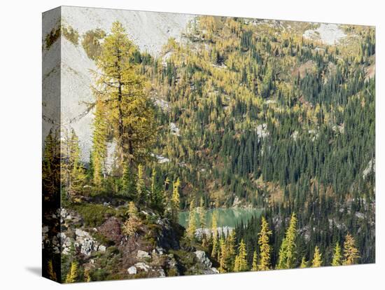 Washington State, North Cascades, Lewis Lake, view from Heather Pass-Jamie & Judy Wild-Stretched Canvas