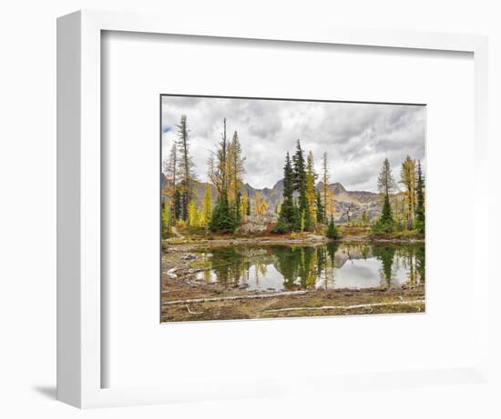 Washington State, Okanogan-Wenatchee National Forest. Alpine pond-Jamie & Judy Wild-Framed Photographic Print