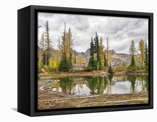 Washington State, Okanogan-Wenatchee National Forest. Alpine pond-Jamie & Judy Wild-Framed Stretched Canvas
