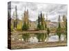 Washington State, Okanogan-Wenatchee National Forest. Alpine pond-Jamie & Judy Wild-Stretched Canvas