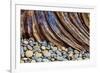 Washington State, Olympic National Park. Beach Rocks and Driftwood-Jaynes Gallery-Framed Photographic Print