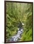 Washington State, Olympic National Park. Landscape with Sol Duc River-Jaynes Gallery-Framed Photographic Print