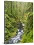 Washington State, Olympic National Park. Landscape with Sol Duc River-Jaynes Gallery-Stretched Canvas