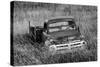 Washington State, Palouse. B&W of Vintage Studebaker Pickup Truck in Field-Jaynes Gallery-Stretched Canvas