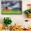 Washington State, Palouse. Barn and Silos-Jaynes Gallery-Mounted Premium Photographic Print displayed on a wall