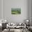 Washington State, Palouse Hills. Farmland Viewed from Steptoe Butte-Don Paulson-Photographic Print displayed on a wall