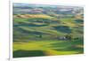 Washington State, Palouse Hills. Farmland Viewed from Steptoe Butte-Don Paulson-Framed Photographic Print