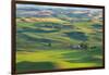 Washington State, Palouse Hills. Farmland Viewed from Steptoe Butte-Don Paulson-Framed Photographic Print