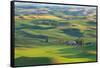 Washington State, Palouse Hills. Farmland Viewed from Steptoe Butte-Don Paulson-Framed Stretched Canvas