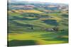 Washington State, Palouse Hills. Farmland Viewed from Steptoe Butte-Don Paulson-Stretched Canvas