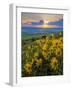 Washington State, Palouse Hills. Landscape with Douglas' Sunflowers-Don Paulson-Framed Photographic Print