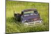 Washington State, Palouse. Vintage Studebaker Pickup Truck in Field-Jaynes Gallery-Mounted Photographic Print