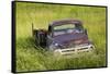 Washington State, Palouse. Vintage Studebaker Pickup Truck in Field-Jaynes Gallery-Framed Stretched Canvas