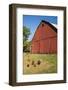 Washington State, Palouse, Whitman County. Pioneer Stock Farm, Chickens and Peacock in Barn Window-Alison Jones-Framed Photographic Print