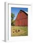 Washington State, Palouse, Whitman County. Pioneer Stock Farm, Chickens and Peacock in Barn Window-Alison Jones-Framed Photographic Print