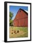 Washington State, Palouse, Whitman County. Pioneer Stock Farm, Chickens and Peacock in Barn Window-Alison Jones-Framed Photographic Print