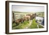 Washington State, Palouse, Whitman County. Pioneer Stock Farm, Cows at Pasture Gate-Alison Jones-Framed Photographic Print