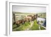 Washington State, Palouse, Whitman County. Pioneer Stock Farm, Cows at Pasture Gate-Alison Jones-Framed Photographic Print