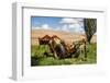 Washington State, Palouse, Whitman County. Pioneer Stock Farm, Tractor Used for Fence Building-Alison Jones-Framed Photographic Print