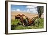 Washington State, Palouse, Whitman County. Pioneer Stock Farm, Tractor Used for Fence Building-Alison Jones-Framed Photographic Print