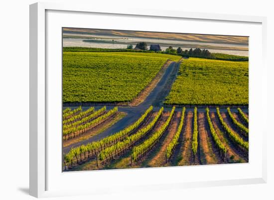 Washington State, Pasco. Sunset on a Vineyard-Richard Duval-Framed Photographic Print