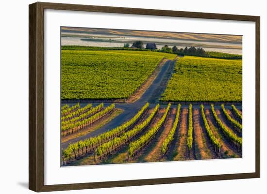 Washington State, Pasco. Sunset on a Vineyard-Richard Duval-Framed Photographic Print