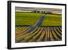 Washington State, Pasco. Sunset on a Vineyard-Richard Duval-Framed Photographic Print