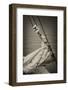 Washington State, Port Townsend. Sailboat Rigging in the Fog, Sepia-Kevin Oke-Framed Photographic Print