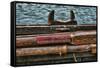 Washington State, Port Townsend. Stowed Oars and Oar Port on Longboat-Jaynes Gallery-Framed Stretched Canvas