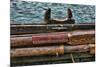 Washington State, Port Townsend. Stowed Oars and Oar Port on Longboat-Jaynes Gallery-Mounted Photographic Print