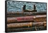 Washington State, Port Townsend. Stowed Oars and Oar Port on Longboat-Jaynes Gallery-Framed Stretched Canvas