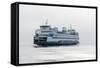 Washington State, Puget Sound. Ferry with Dense Fog Bank Limiting Visibility-Trish Drury-Framed Stretched Canvas